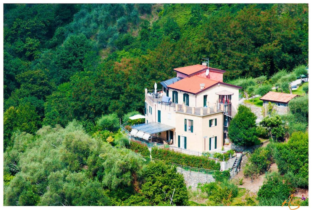 Villa Paggi Country House Carasco Buitenkant foto